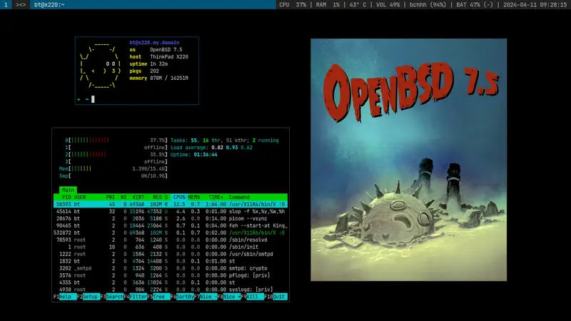 Screenshot of OpenBSD 7.5 running dwm