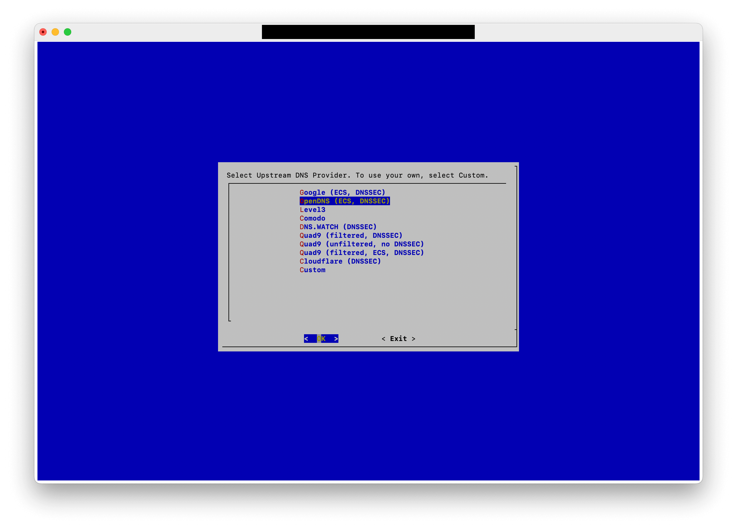 Pi-Hole installer, selecting DNS