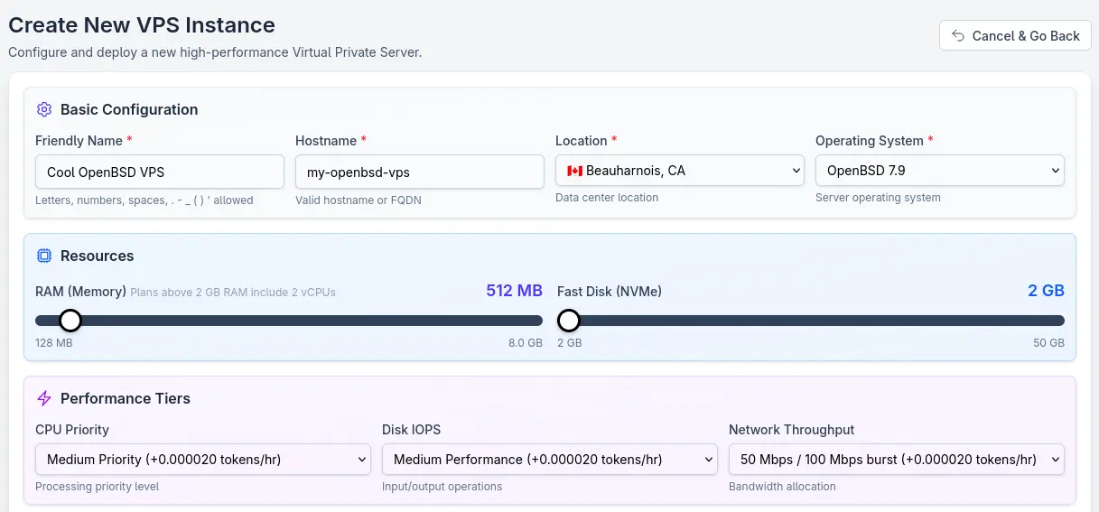 Initial TierHive VPS setup config options